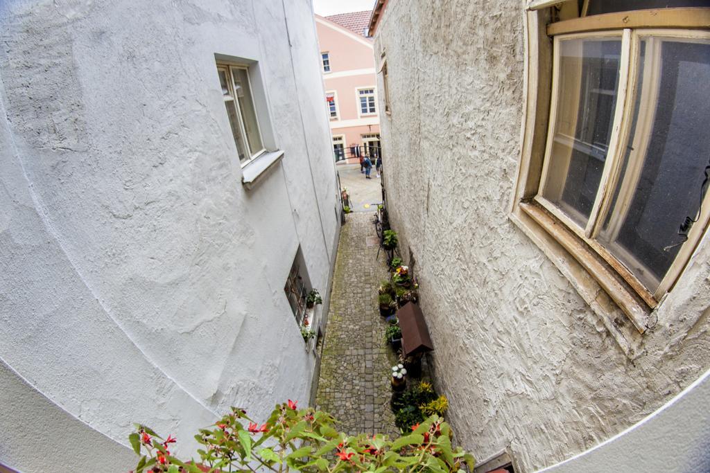 Penzion Cernej Ptak Hotel Jindřichův Hradec Buitenkant foto